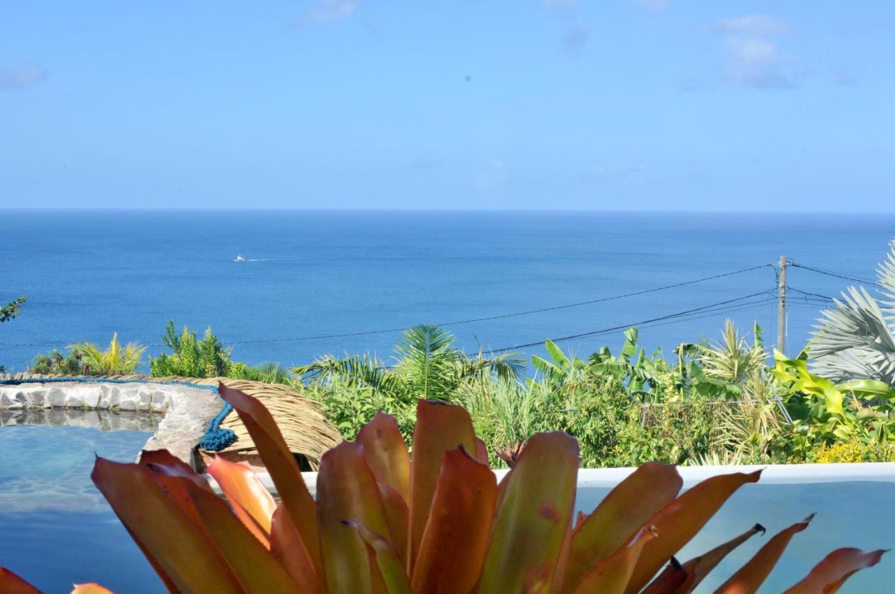 Mango Island Lodges Saint Joseph Εξωτερικό φωτογραφία