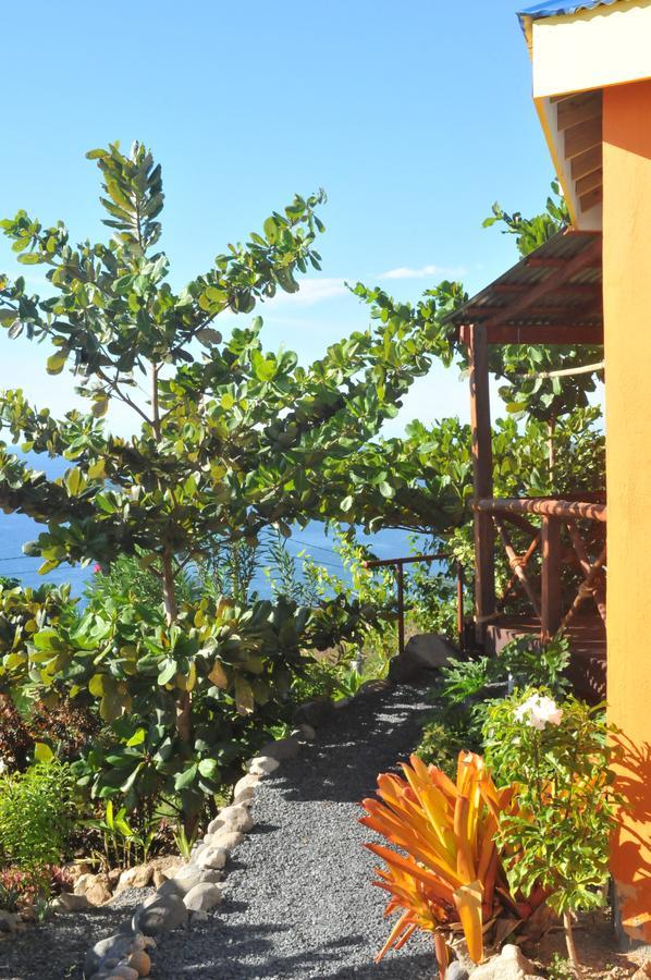 Mango Island Lodges Saint Joseph Εξωτερικό φωτογραφία