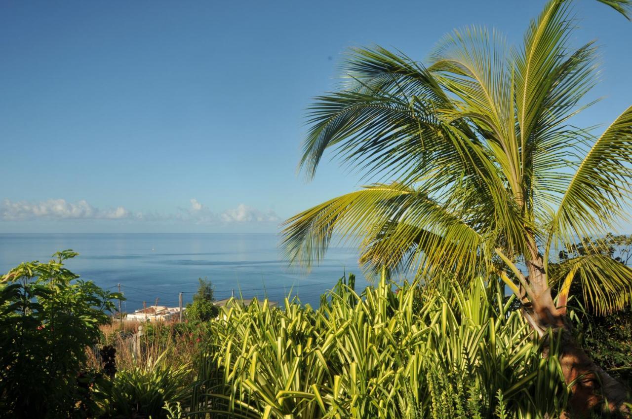 Mango Island Lodges Saint Joseph Εξωτερικό φωτογραφία