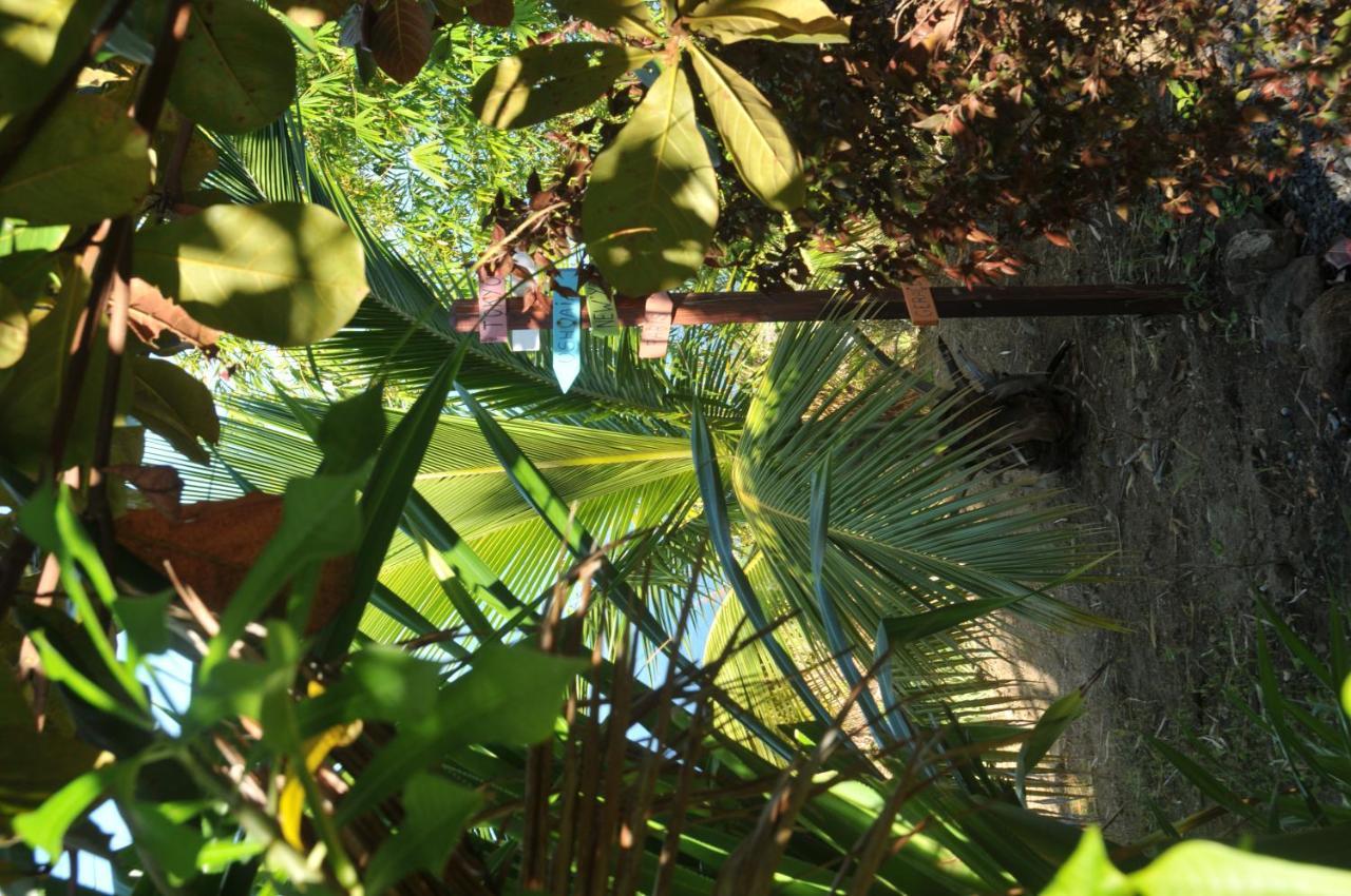 Mango Island Lodges Saint Joseph Εξωτερικό φωτογραφία